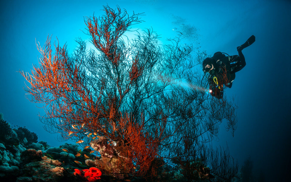 Das Rote Meer